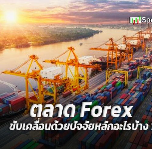 ตลาด Forex ขับเคลื่อนด้วยปัจจัยหลักอะไรบ้าง ?