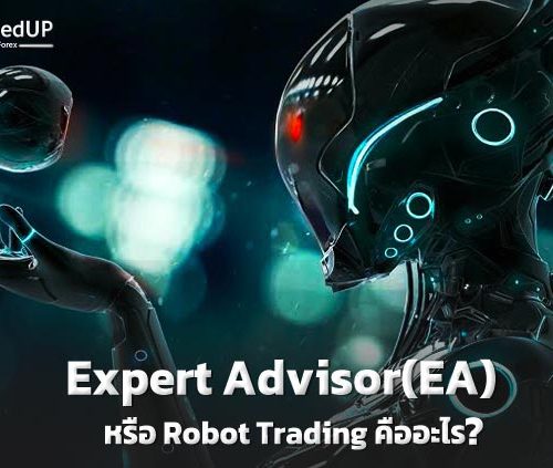 Expert Advisor(EA) หรือ Robot Trading คืออะไร ?