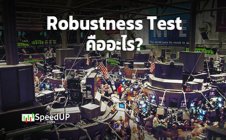 Robustness test คืออะไร