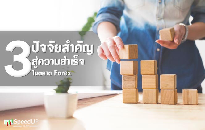 3 ปัจจัยสำคัญ Forex มีอะไรบ้าง