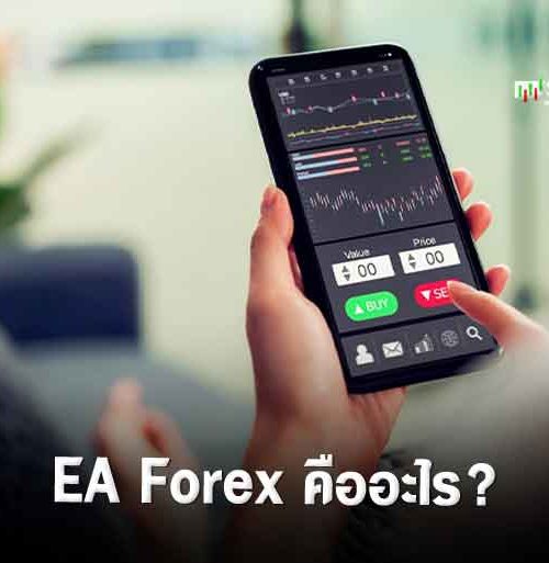 EA Forex คืออะไร ใช้เป็นเห็นกำไร