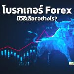 โบรกเกอร์-Forex-มีวิธีเลือกอย่างไร