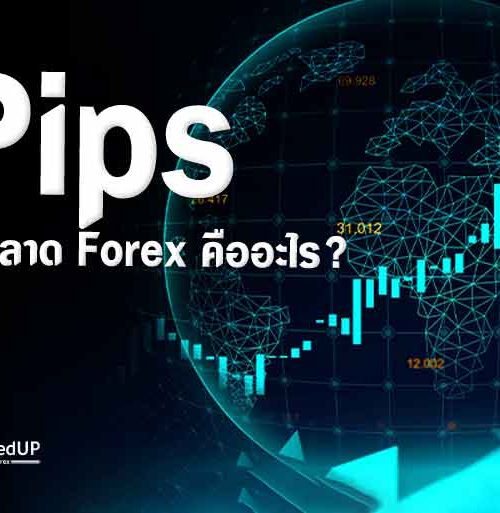 Pips คืออะไร นับอย่างไรในตลาด Forex