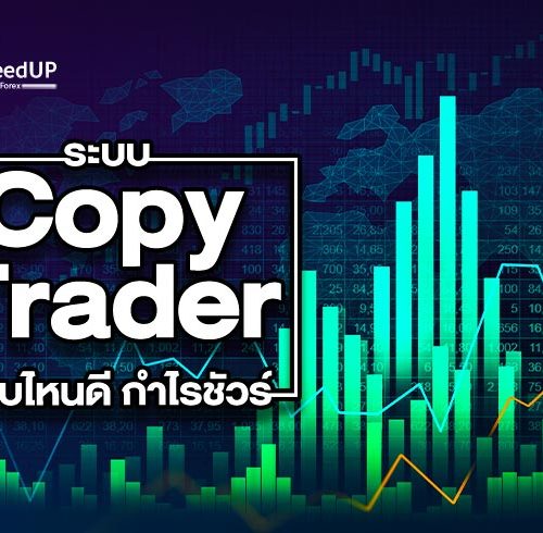 ระบบ Copy Trader ใช้เป็นเห็นกำไร รวยได้อัตโนมัติ